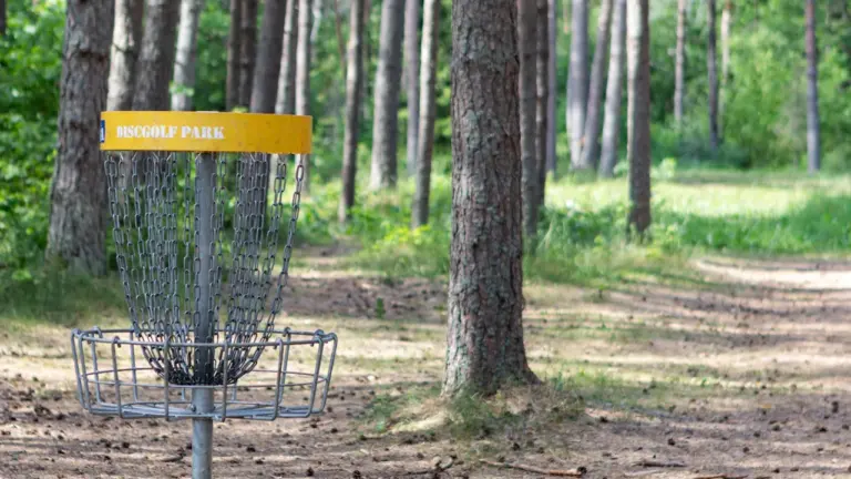 Mängude päev Aravul: discgolf ja pereüritused 20. augustil