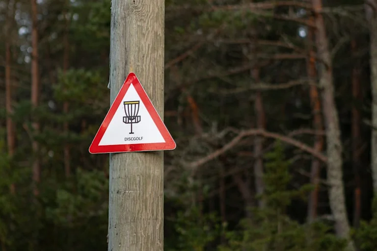 Mängude päev Aravul: discgolf ja pereüritused 20. augustil
