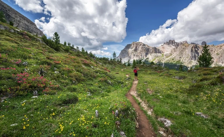 Rakverest Palmse kivide radadele: 23. augustil 14 euroga