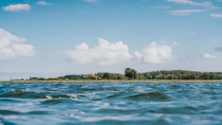 „Saare suvi“ viib 21.–22. augustil Tagamõisa poolsaarele