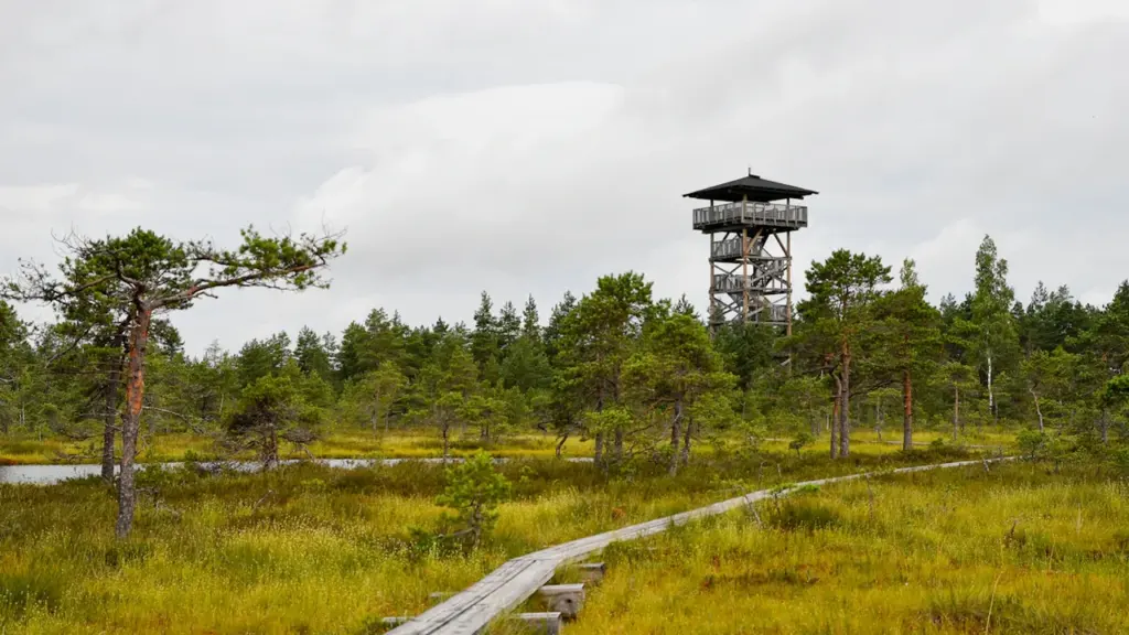 Tasuta loodusretk: avasta Raadi kaitseala haruldusi 19. augustil